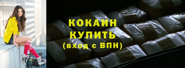 дмт Богородск