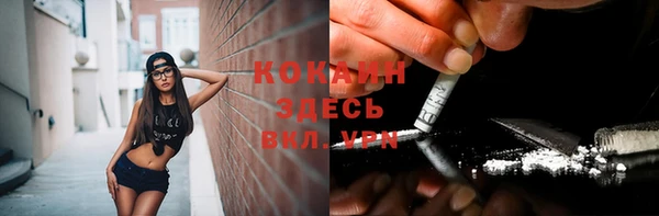 гидропоника Богданович