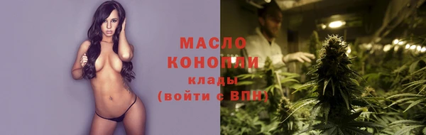 дмт Богородск