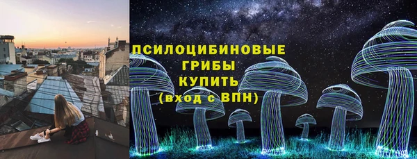 соль ск Богородицк