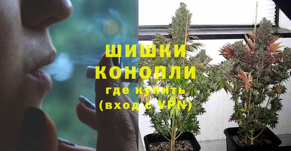 гидропоника Богданович