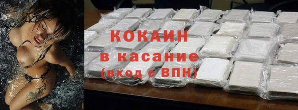 соль ск Богородицк