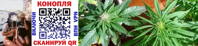 Марихуана Amnesia  Купить  Алушта 
